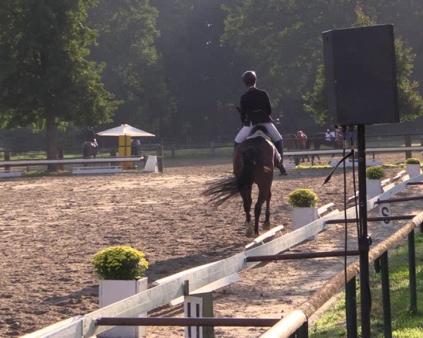 Reitturnier Recklinghausen 2019