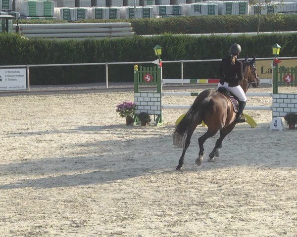 Reitturnier Durmersheim-Hardt 2019
