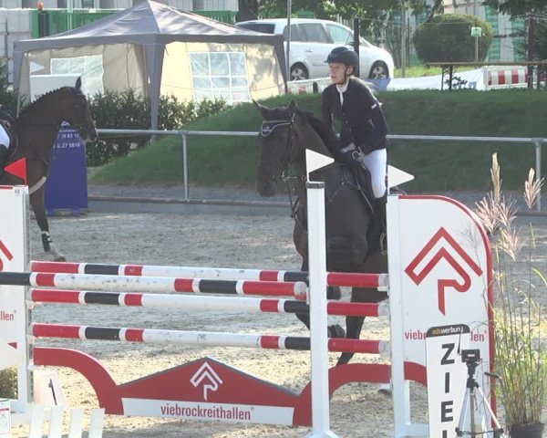 Reitturnier Durmersheim-Hardt 2019
