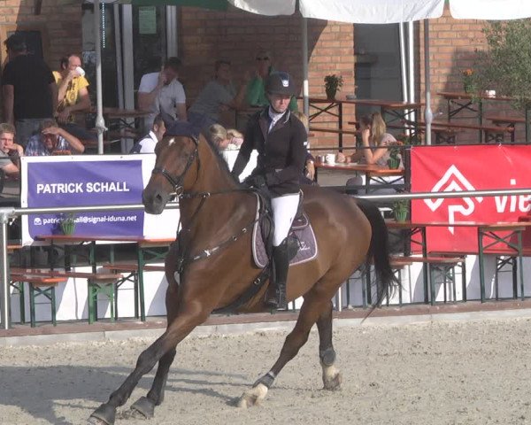 Reitturnier Durmersheim-Hardt 2019