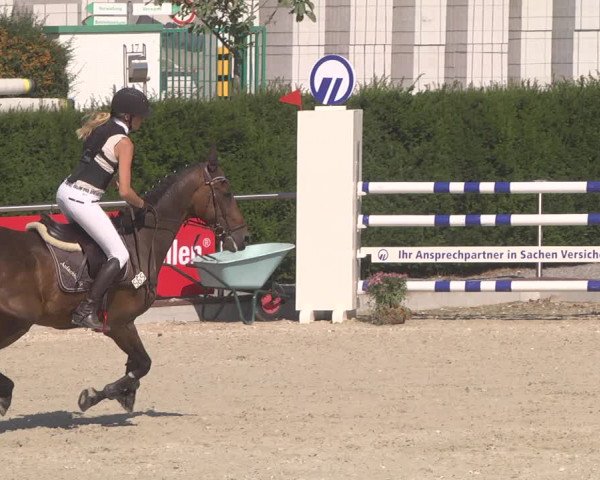 Reitturnier Durmersheim-Hardt 2019