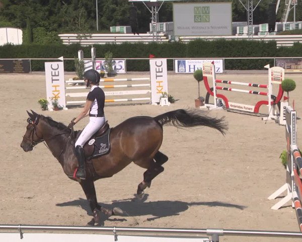 Reitturnier Durmersheim-Hardt 2019