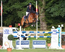 jumper Castanios (KWPN (Royal Dutch Sporthorse), 2010, from Cador 5)