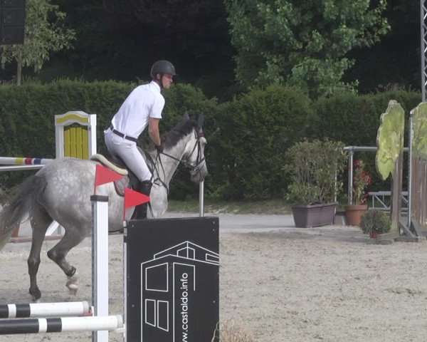 Reitturnier Durmersheim-Hardt 2019