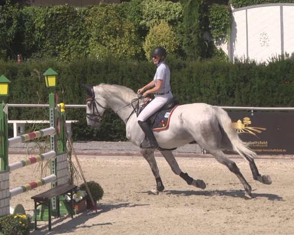 Reitturnier Durmersheim-Hardt 2019