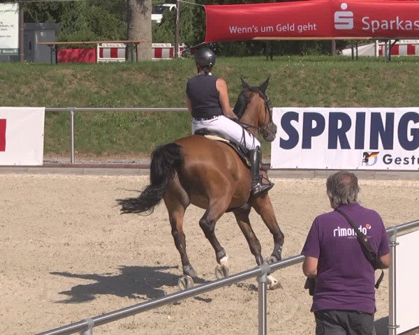 Reitturnier Durmersheim-Hardt 2019