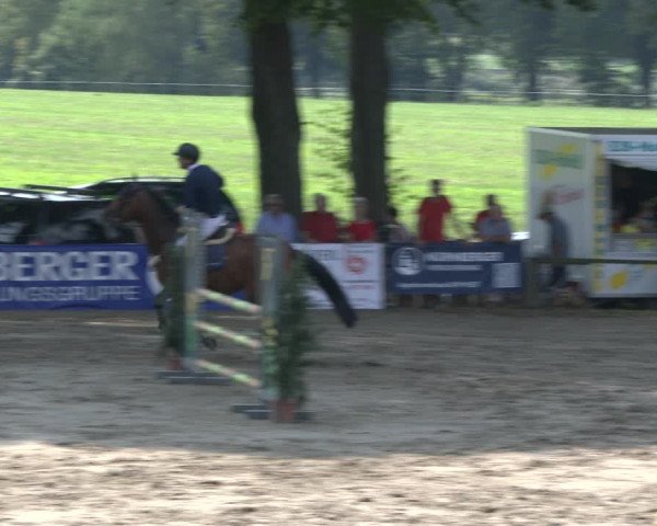 Reitturnier Recklinghausen 2019
