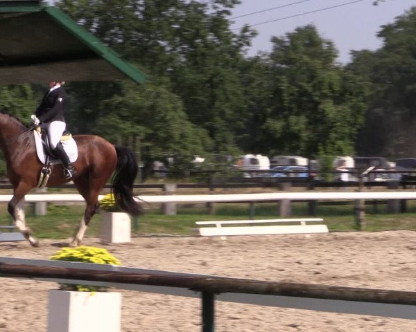 Reitturnier Recklinghausen 2019
