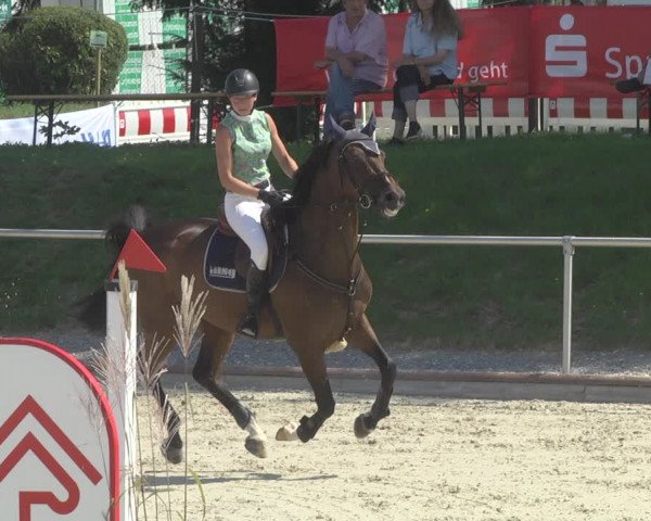 Reitturnier Durmersheim-Hardt 2019