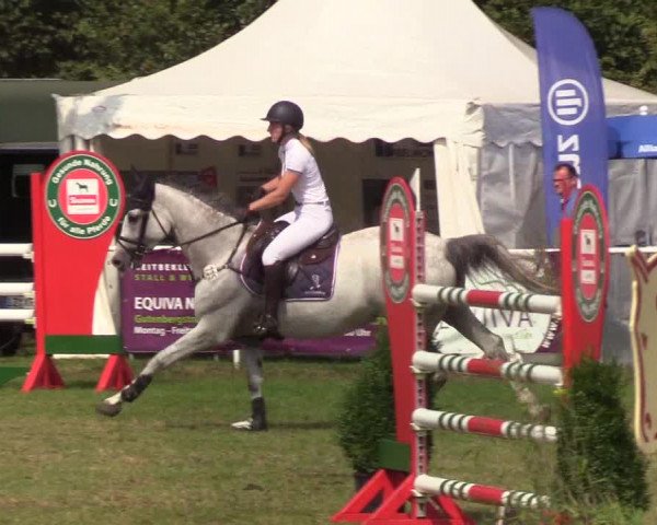 Reitturnier Kellinghusen 2019