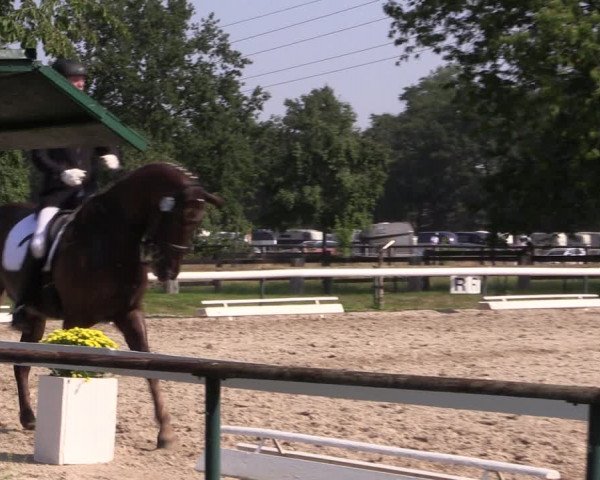 Reitturnier Recklinghausen 2019