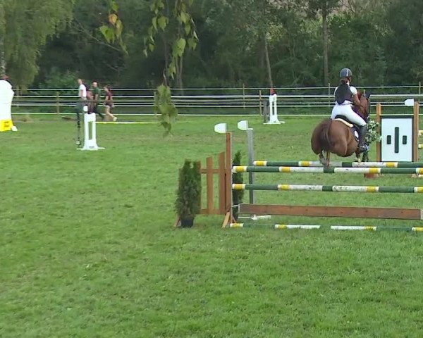 Landesponyturnier Ansbach 2019
