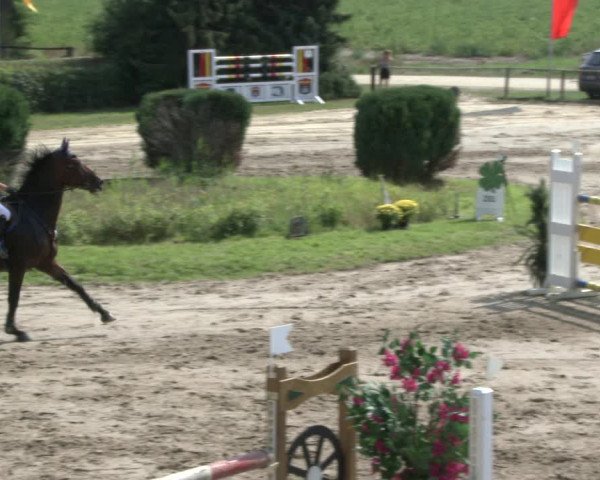 Reitturnier Recklinghausen 2019