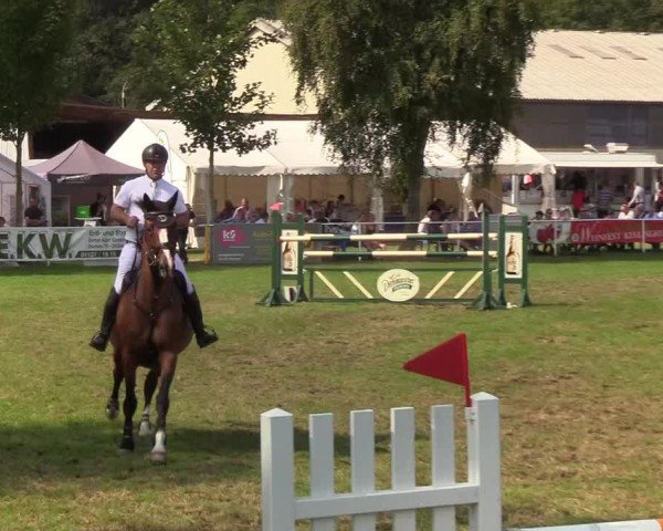 Reitturnier Kellinghusen 2019