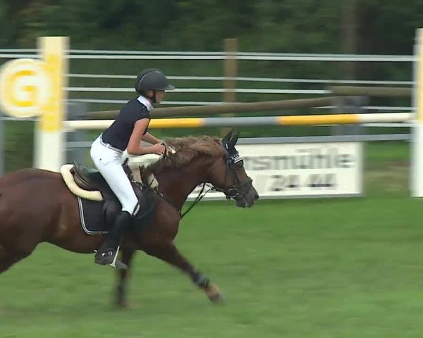 Landesponyturnier Ansbach 2019