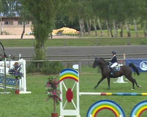 Landesponyturnier Ansbach 2019