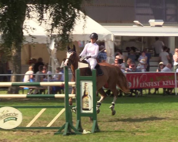 Reitturnier Kellinghusen 2019
