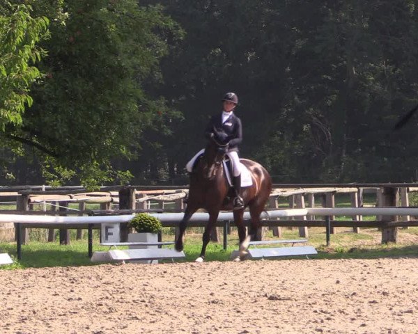 Reitturnier Recklinghausen 2019
