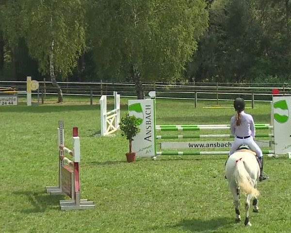 Landesponyturnier Ansbach 2019