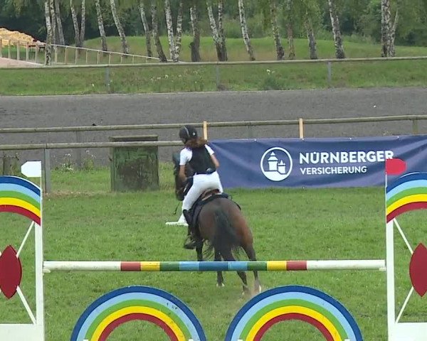 Landesponyturnier Ansbach 2019