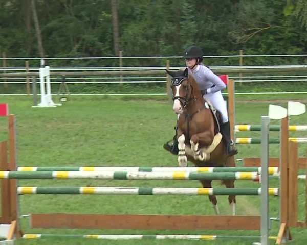 Landesponyturnier Ansbach 2019