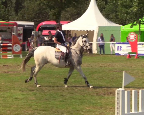 Reitturnier Kellinghusen 2019
