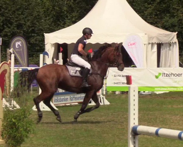 Reitturnier Kellinghusen 2019