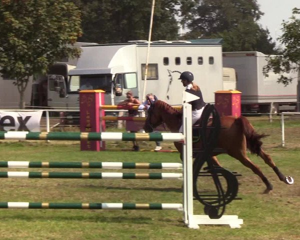 Reitturnier Kellinghusen 2019