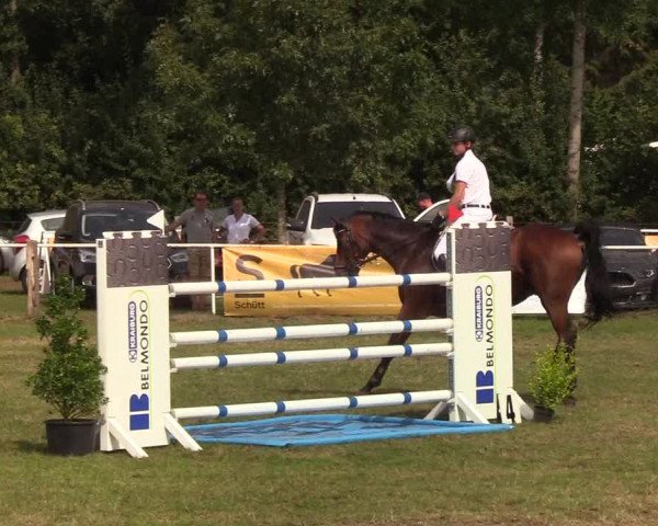 Reitturnier Kellinghusen 2019