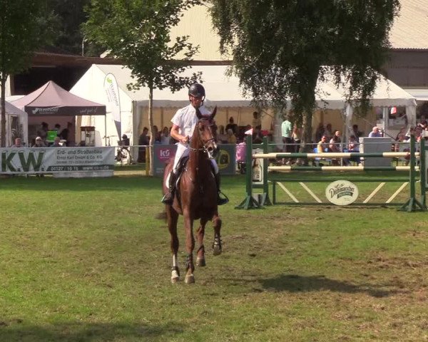 Reitturnier Kellinghusen 2019