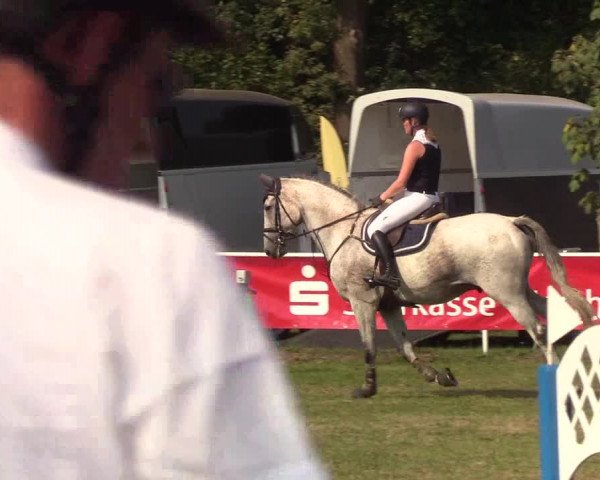 Reitturnier Kellinghusen 2019