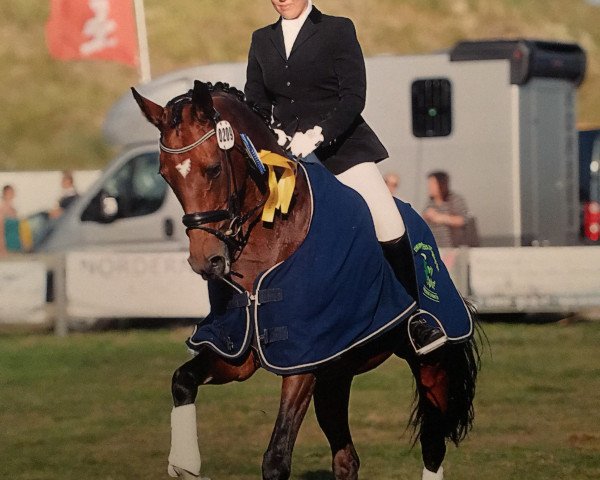 broodmare Fleur de Lys 15 (Westphalian, 2003, from Florestan I)