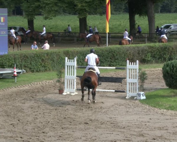 Reitturnier Recklinghausen 2019