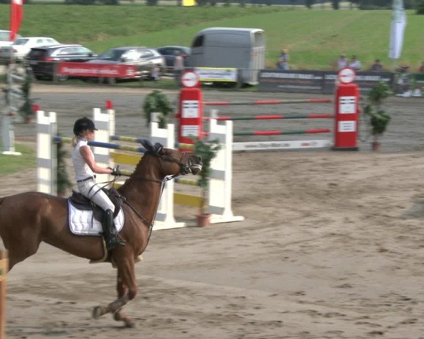 Reitturnier Recklinghausen 2019