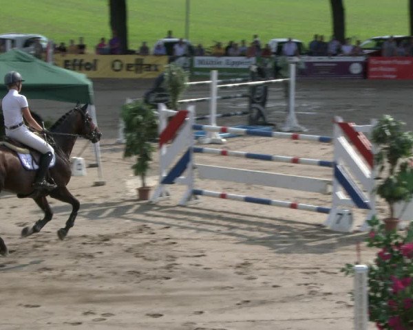 Reitturnier Recklinghausen 2019