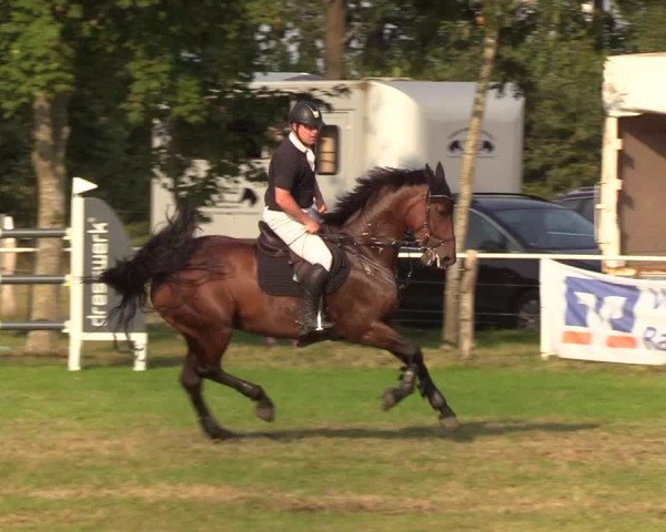 Reitturnier Kellinghusen 2019
