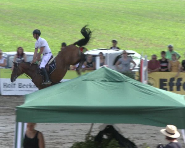 Reitturnier Recklinghausen 2019