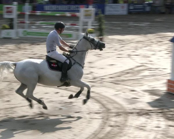 Reitturnier Recklinghausen 2019