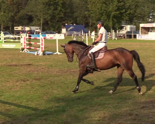 Reitturnier Kellinghusen 2019