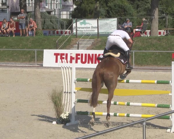 Reitturnier Durmersheim-Hardt 2019