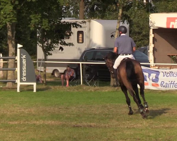 Reitturnier Kellinghusen 2019
