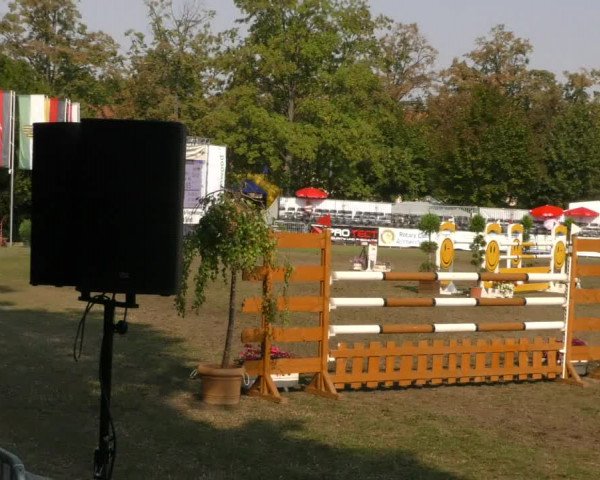 Reitturnier Aschersleben 2019