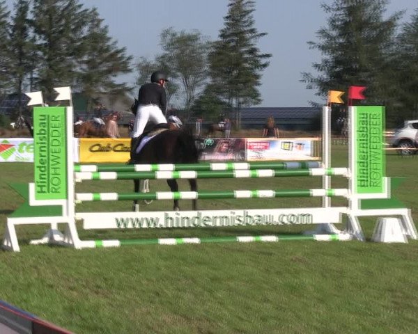 Reitturnier Löwenstedt 2019
