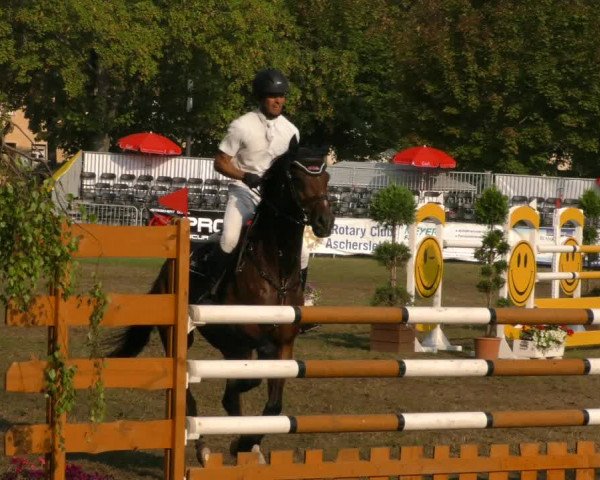Reitturnier Aschersleben 2019