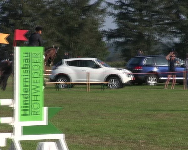 Reitturnier Löwenstedt 2019