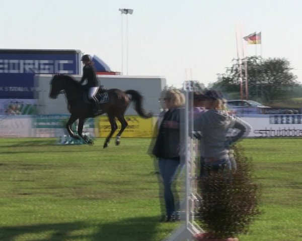 Reitturnier Löwenstedt 2019