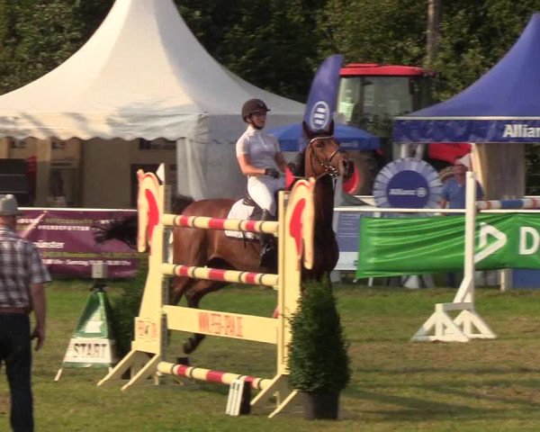 Reitturnier Kellinghusen 2019
