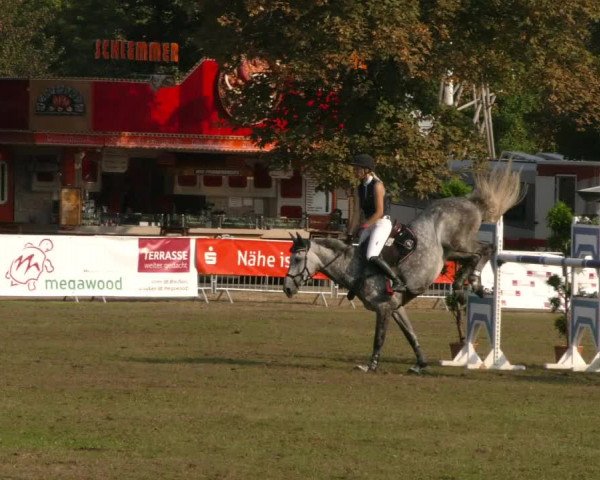 Reitturnier Aschersleben 2019