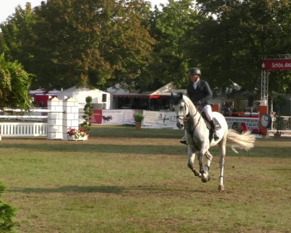 Reitturnier Aschersleben 2019