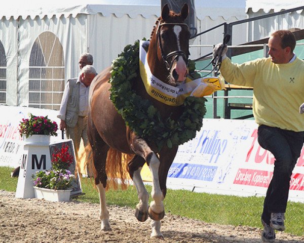 broodmare Carina (Hanoverian, 1995, from Calypso II)